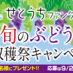 せとうちファンクラブ「旬のぶどう大収穫祭キャンペーン」